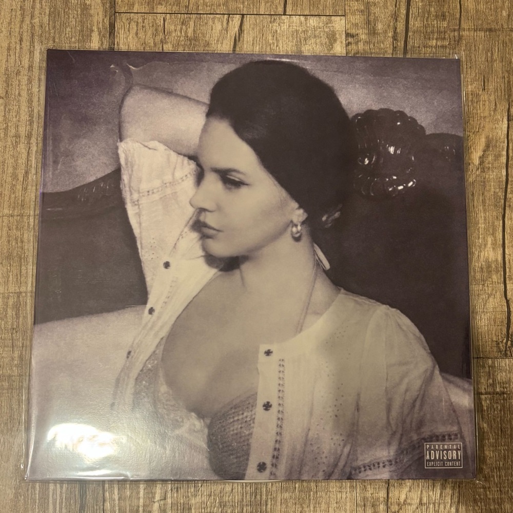There’s a tunnel under ocean blvd vinyl
